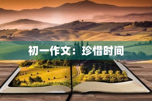 初一作文：珍惜时间