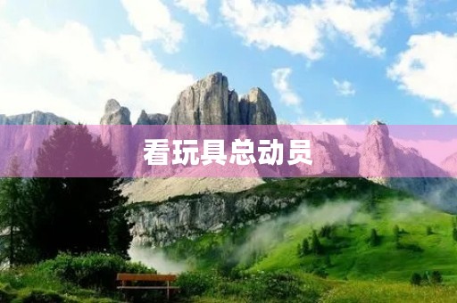 看玩具总动员 看玩具总动员