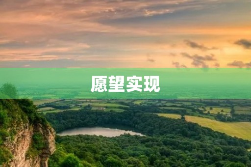 愿望实现 愿望实现