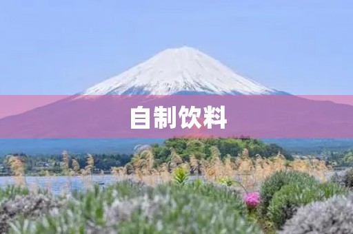 自制饮料
