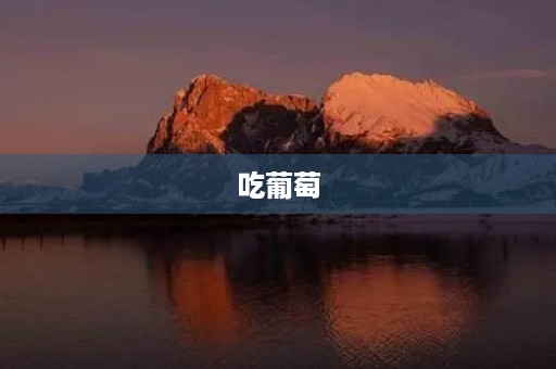 吃葡萄 吃葡萄