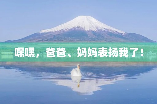 嘿嘿，爸爸、妈妈表扬我了！