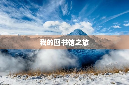 我的图书馆之旅