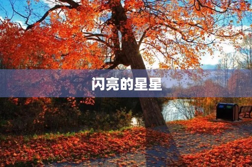 闪亮的星星 闪亮的星星