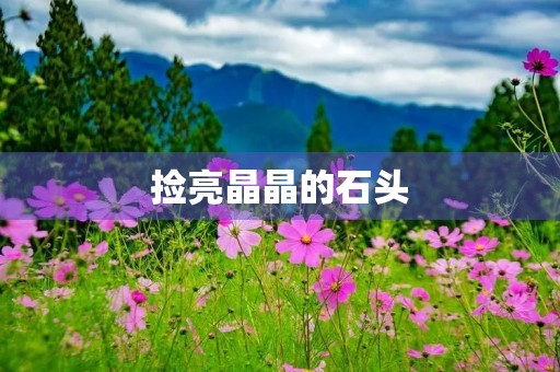 捡亮晶晶的石头 捡亮晶晶的石头