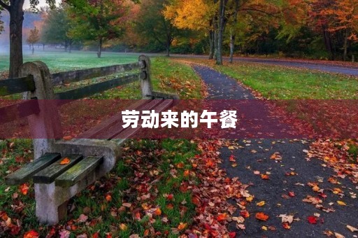 劳动来的午餐 劳动来的午餐