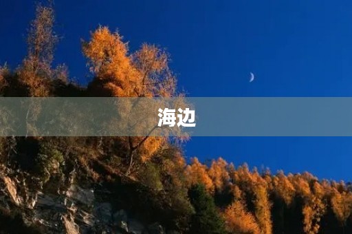 海边