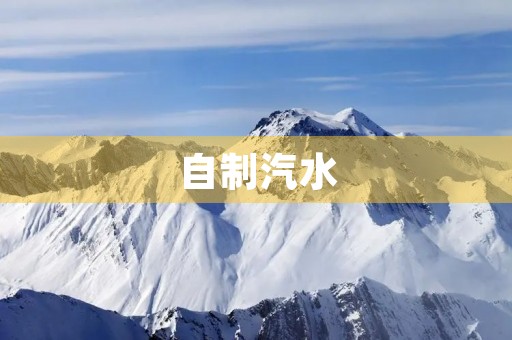 自制汽水