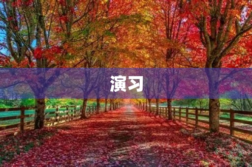 演习 演习