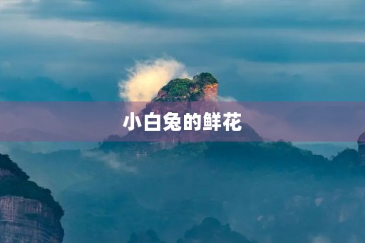 小白兔的鲜花 小白兔的鲜花