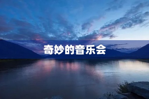 奇妙的音乐会