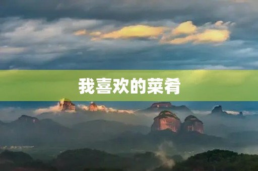 我喜欢的菜肴 我喜欢的菜肴