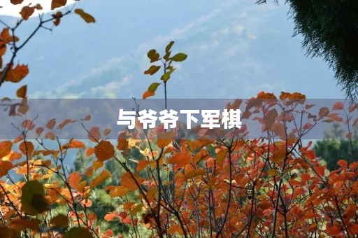 与爷爷下军棋 与爷爷下军棋