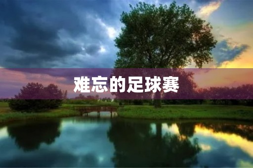 难忘的足球赛