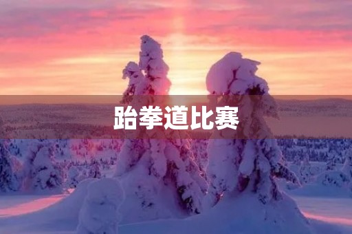 跆拳道比赛 跆拳道比赛