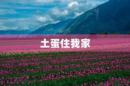 土蛋住我家 土蛋住我家
