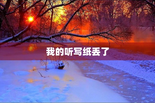 我的听写纸丢了 我的听写纸丢了