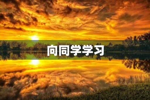 向同学学习
