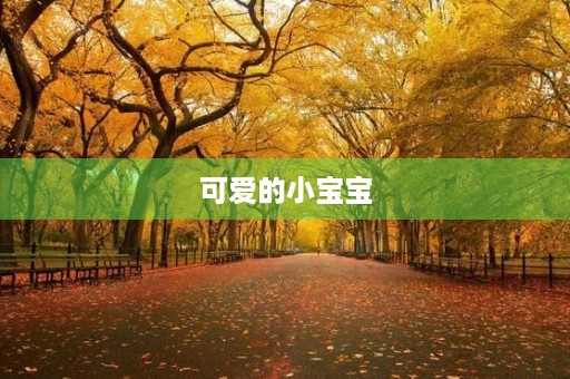 可爱的小宝宝 可爱的小宝宝