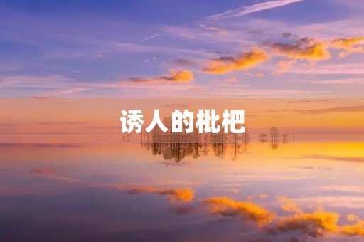 诱人的枇杷