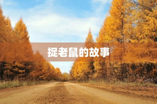 捉老鼠的故事