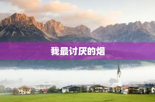 我最讨厌的烟