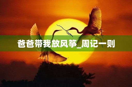 爸爸带我放风筝_周记一则 爸爸带我放风筝_周记一则