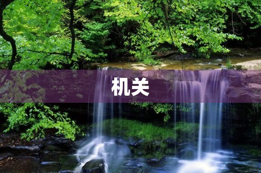 机关