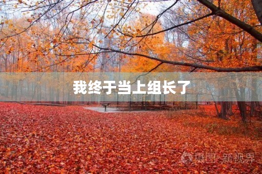 我终于当上组长了 我终于当上组长了