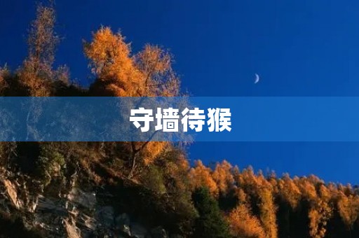 守墙待猴