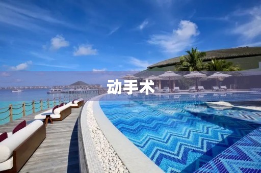 动手术 动手术