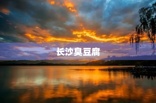 长沙臭豆腐 长沙臭豆腐