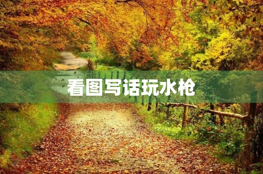 看图写话玩水枪