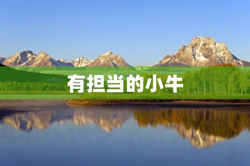 有担当的小牛