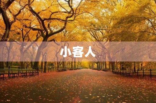 小客人 小客人