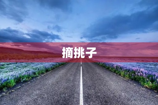 摘挑子