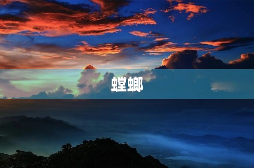 螳螂 螳螂