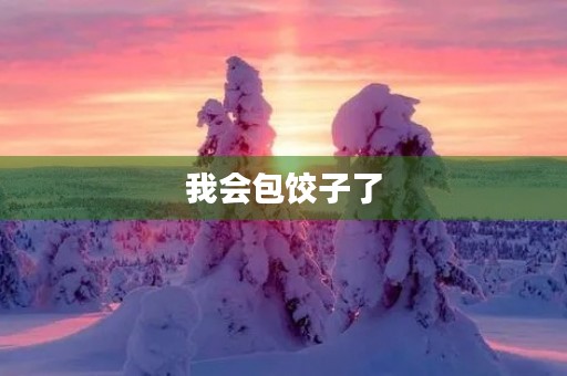 我会包饺子了 我会包饺子了