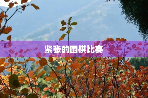 紧张的围棋比赛 紧张的围棋比赛