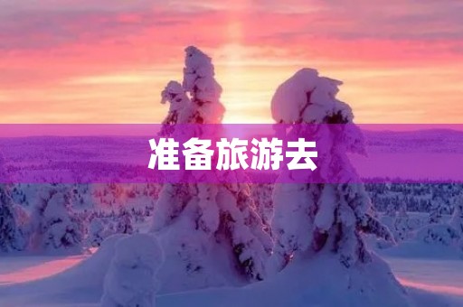 准备旅游去 准备旅游去