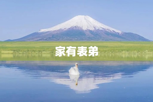 家有表弟 家有表弟