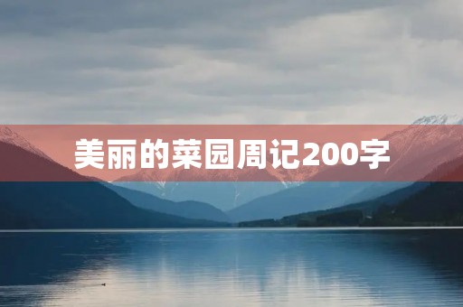 美丽的菜园周记200字