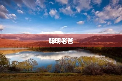 聪明老爸