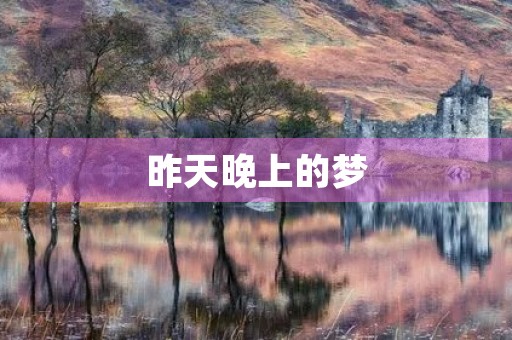 昨天晚上的梦