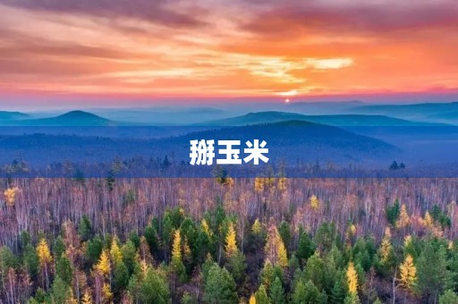 掰玉米