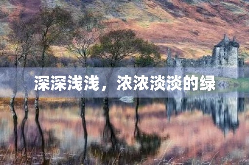 深深浅浅，浓浓淡淡的绿