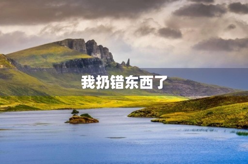 我扔错东西了 我扔错东西了