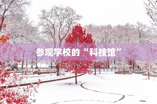 参观学校的“科技馆” 参观学校的“科技馆”