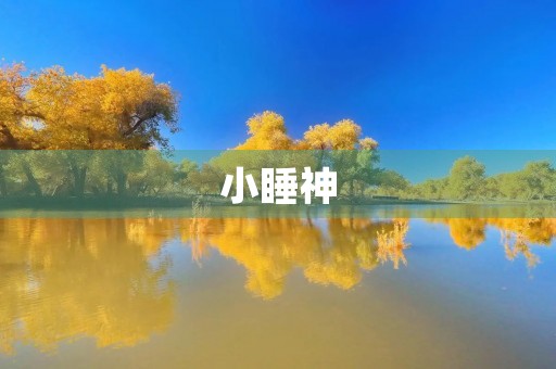 小睡神