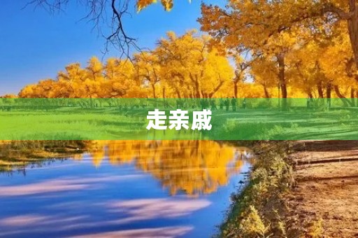 走亲戚